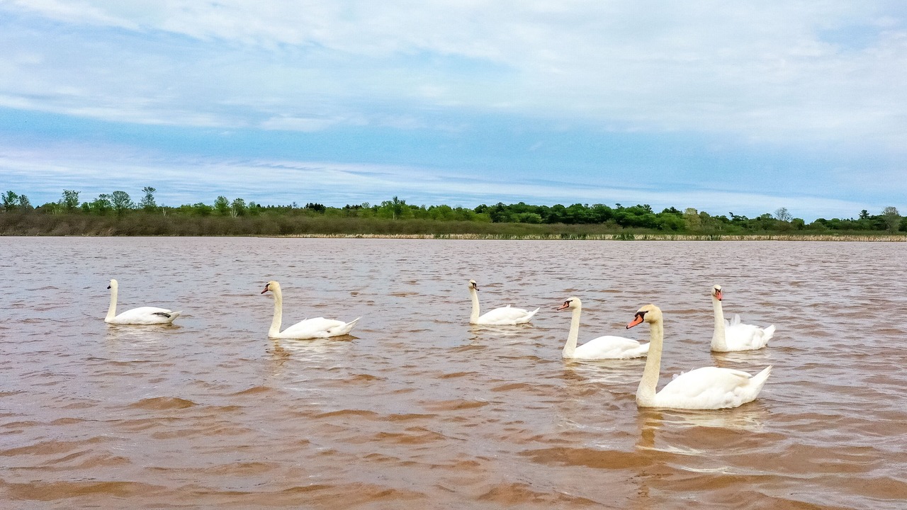 Photo of Others in Two Rivers