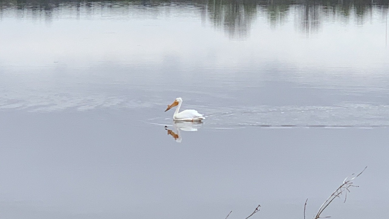 Photo of Others in Two Rivers