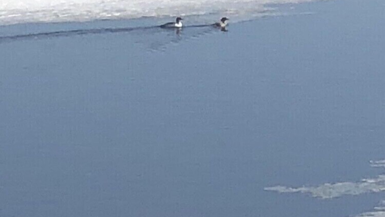 Photo of Others in Two Rivers