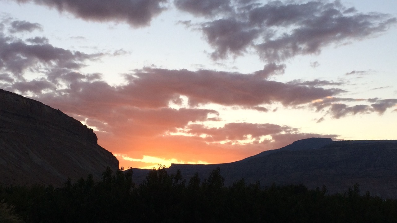 Photo of Others in Palisade