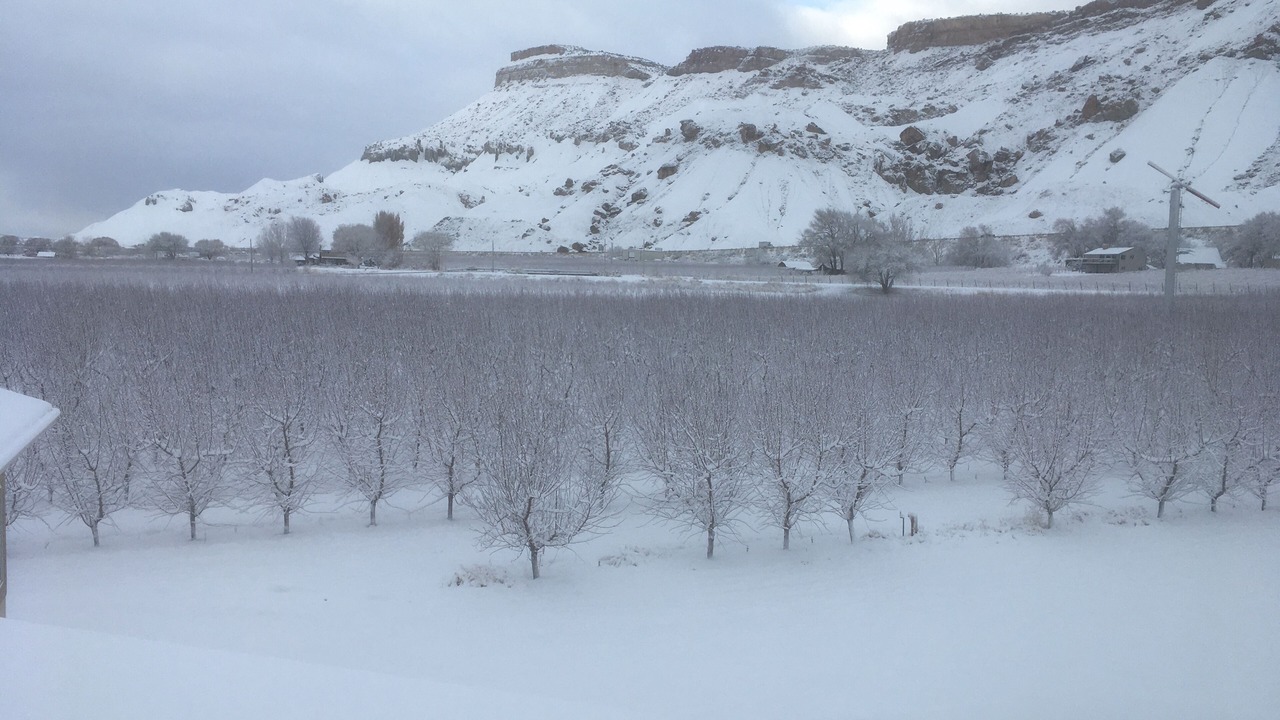 Photo of Others in Palisade