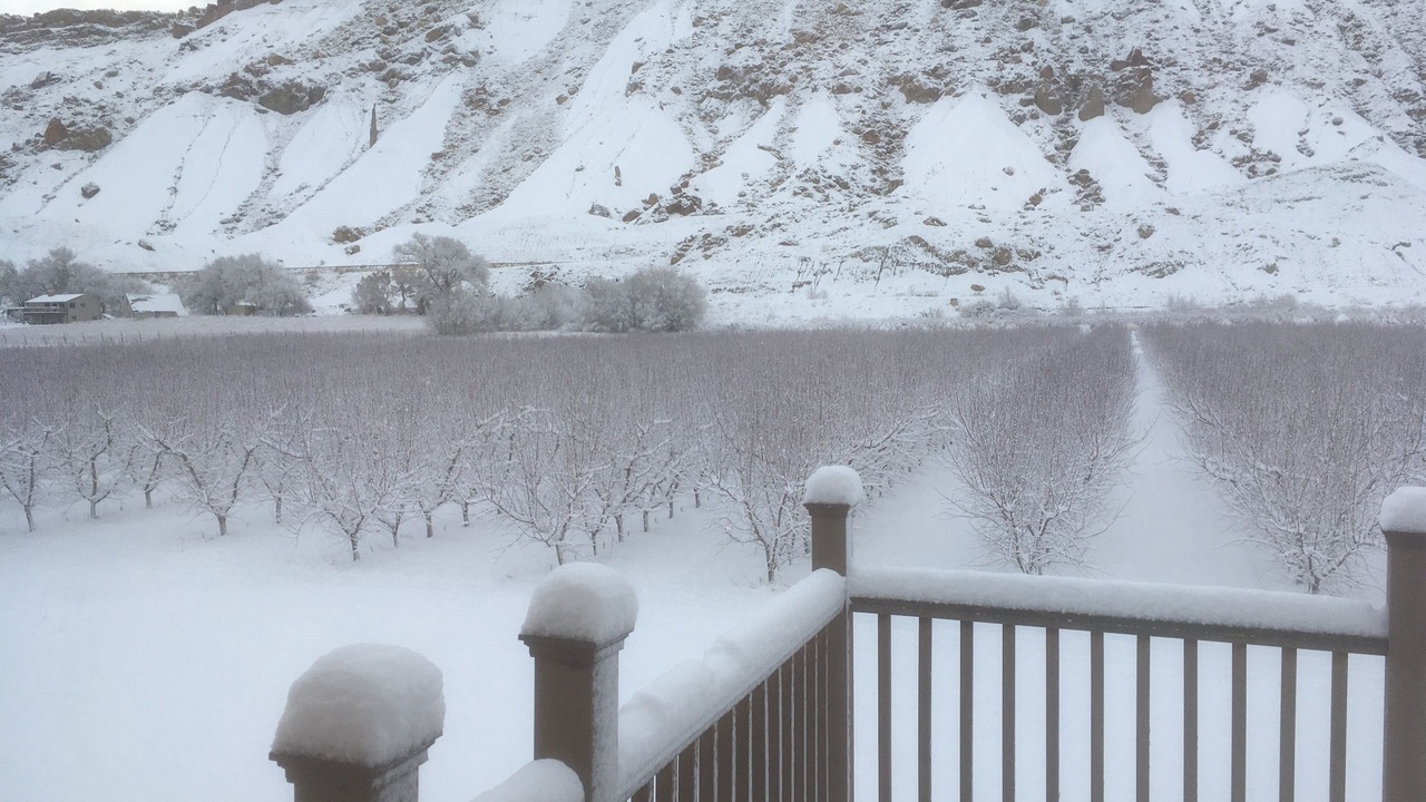 Photo of Others in Palisade
