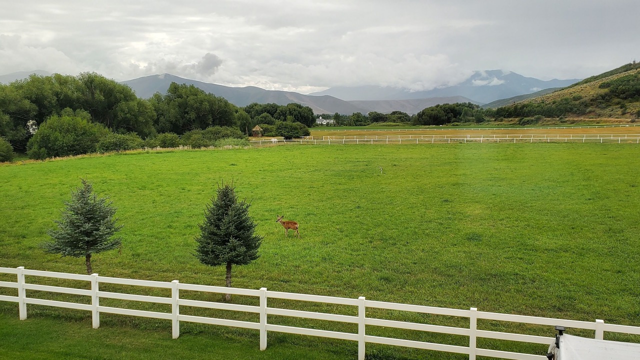 Photo of Outdoor in Midway