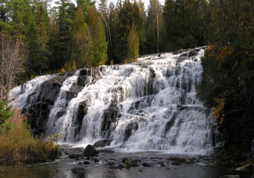 Photo of Others in Trout Creek