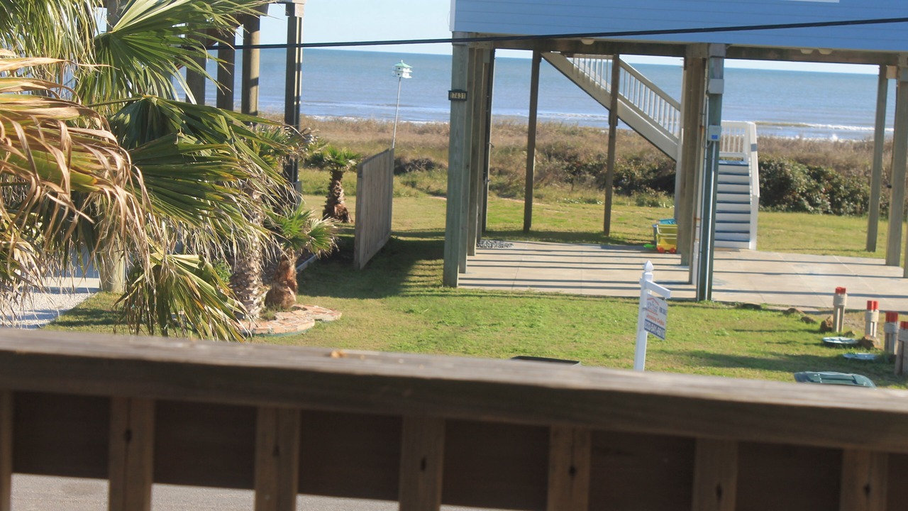 Photo of Others in Gulf Palms