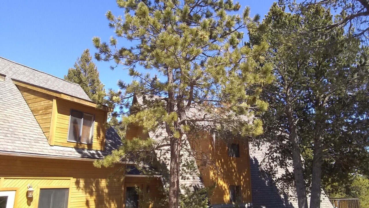Photo of Outdoor in Divide