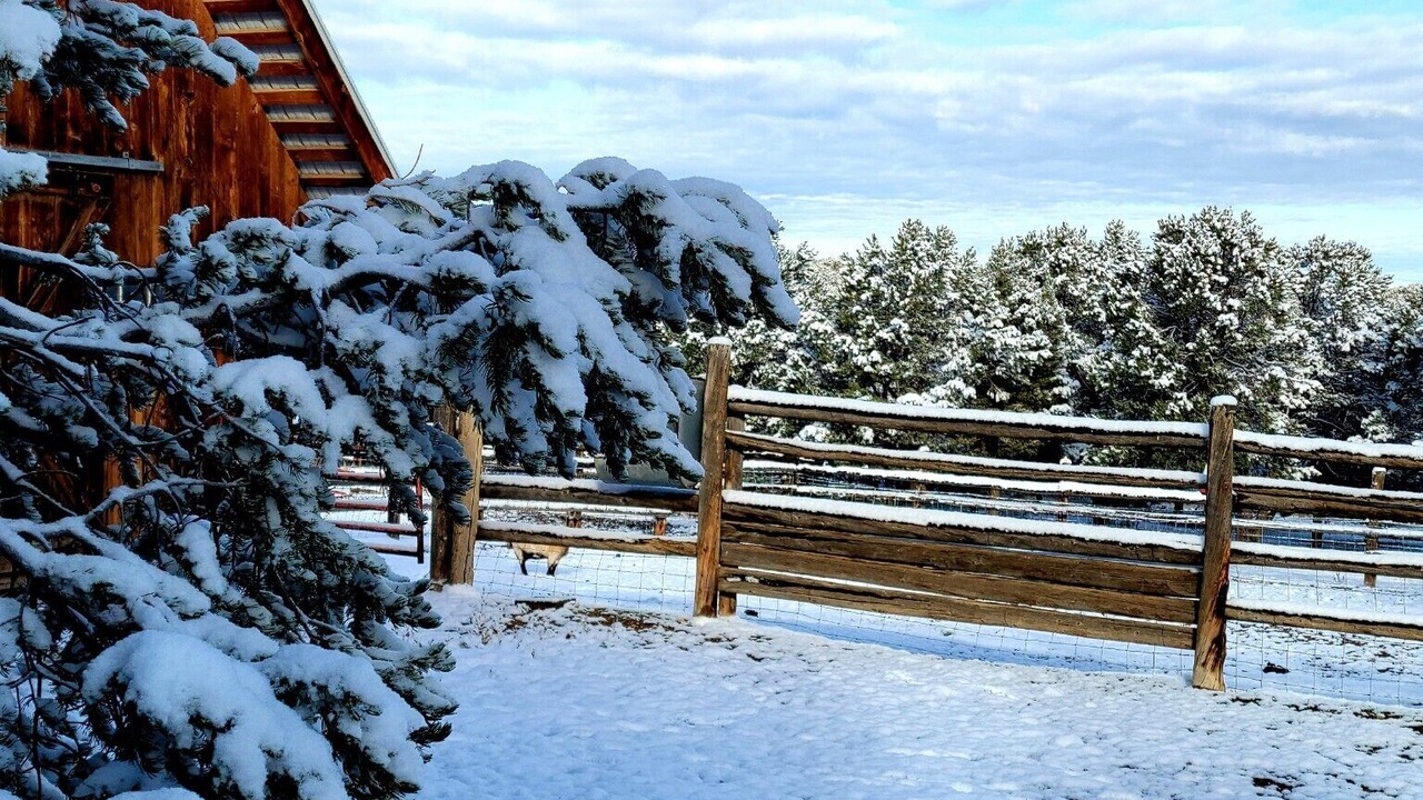 Photo of Outdoor in Montrose