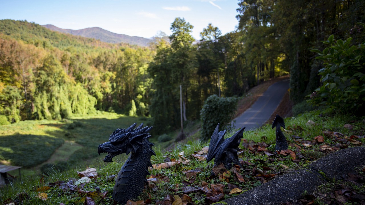 Photo of Outdoor in Fontana Dam
