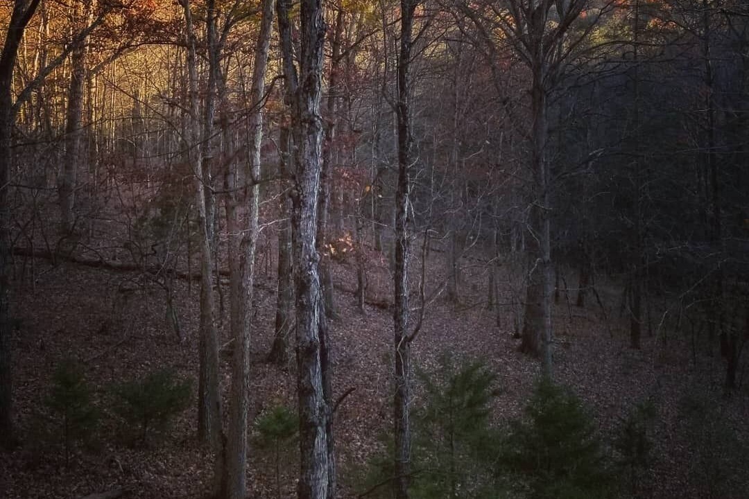 Photo of Others in Wardensville