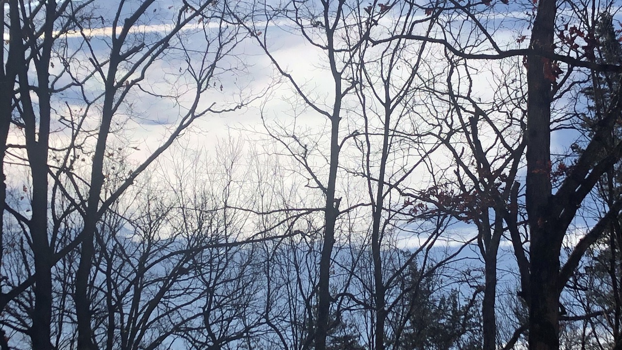 Photo of Others in Wardensville