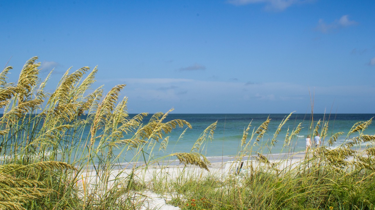 Photo of Others in Bradenton Beach