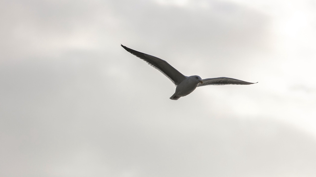 Photo of Others in Gearhart