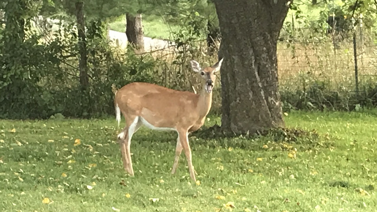 Photo of Outdoor in Dublin