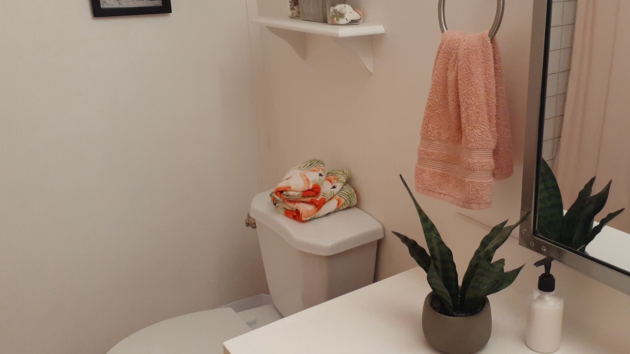 Photo of Bathroom in Everglades City