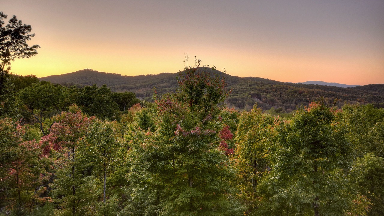 Photo of Outdoor in Ridges Over the Lake