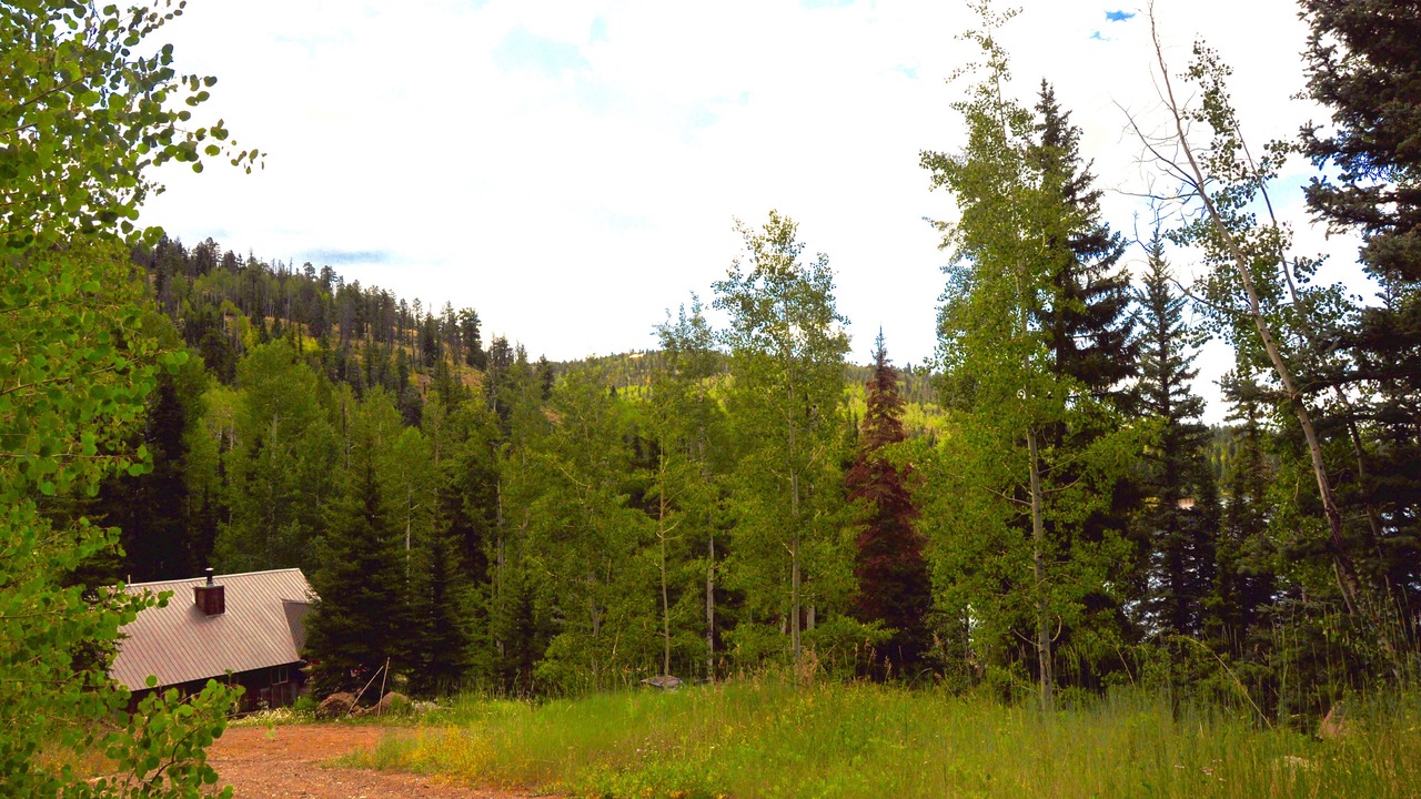Photo of Others in Columbine Lake