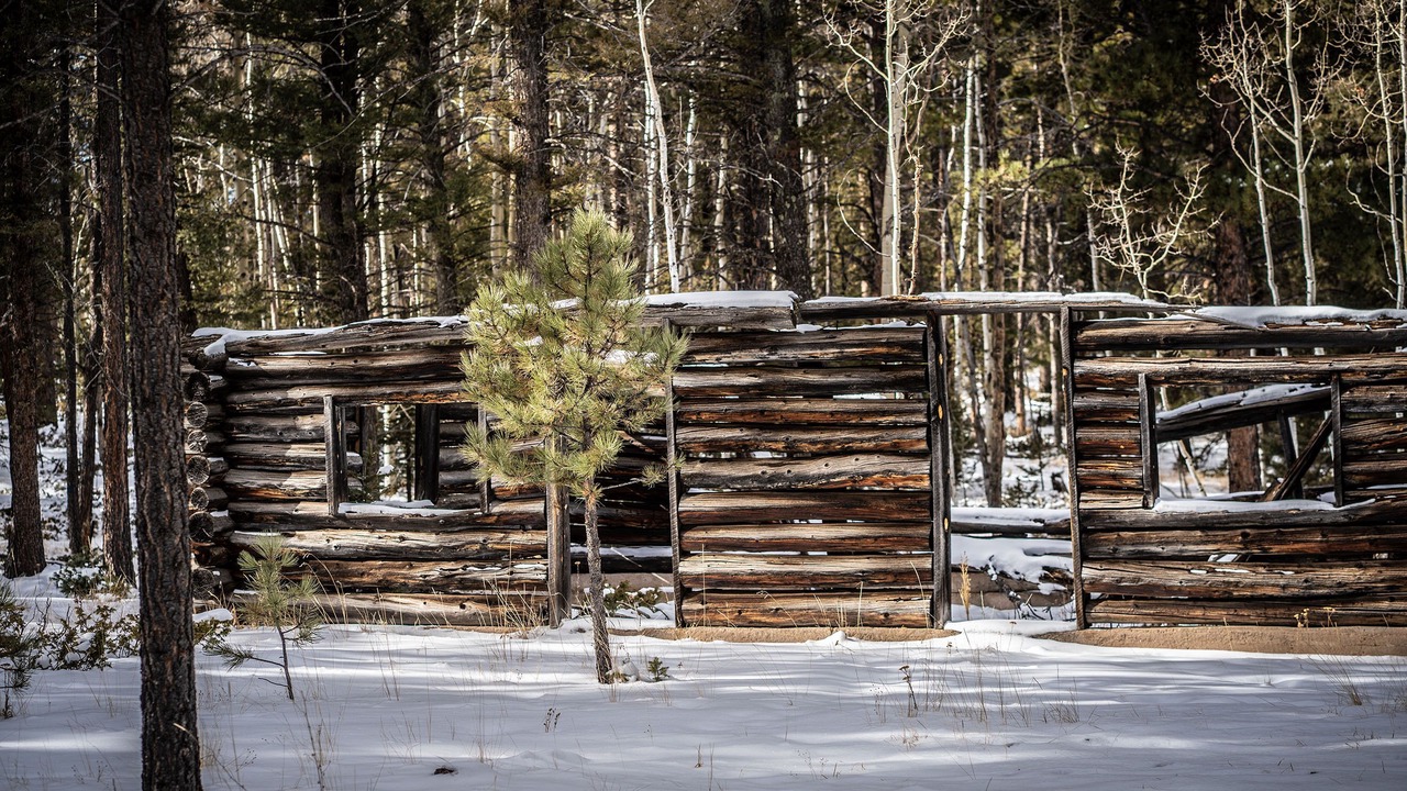 Photo of Outdoor in Divide