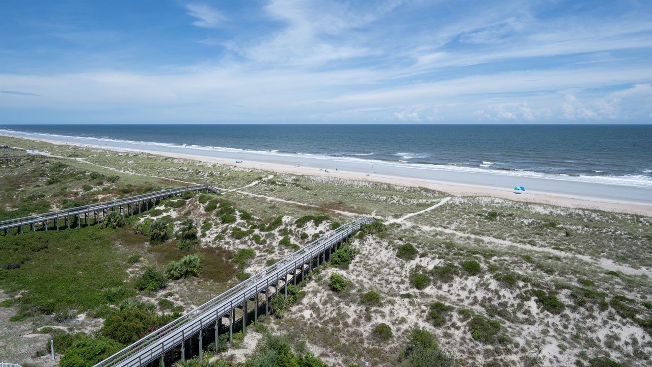 Photo of Others in Amelia City