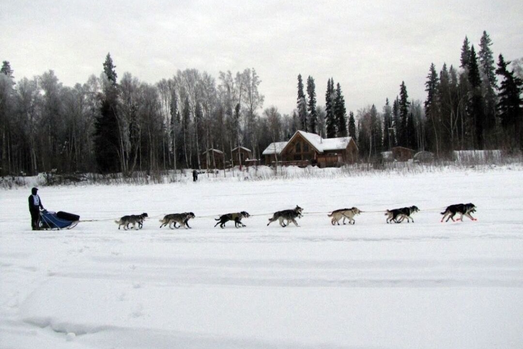Photo of Others in Fairbanks