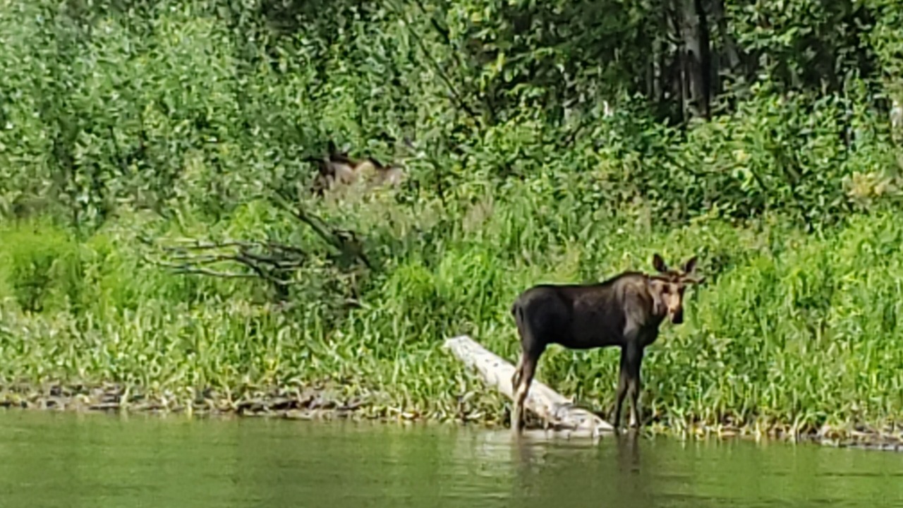 Photo of Outdoor in Fairbanks
