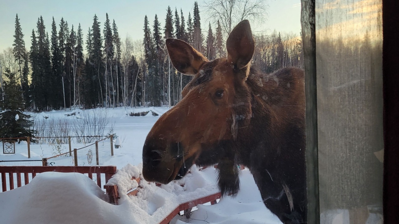 Photo of Others in Fairbanks