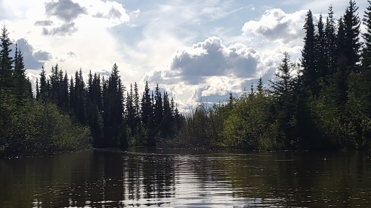 Photo of Outdoor in Fairbanks