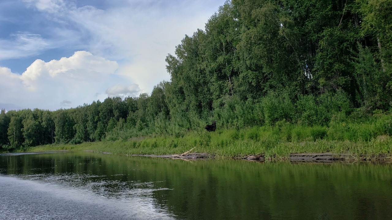 Photo of Others in Fairbanks