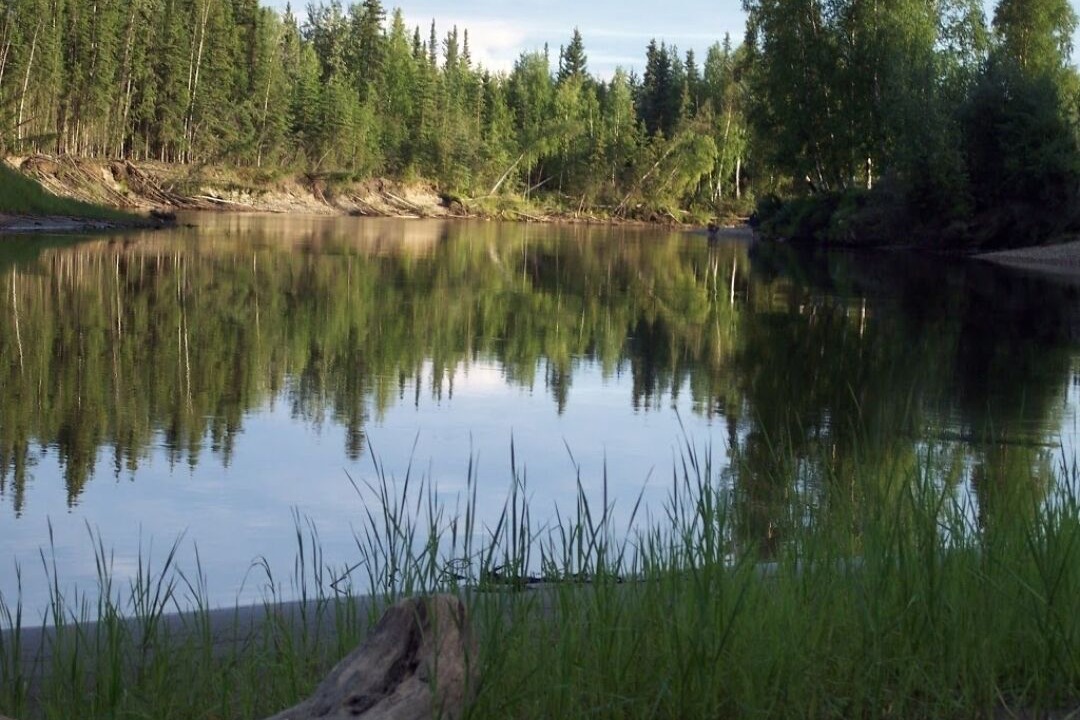 Photo of Others in Fairbanks