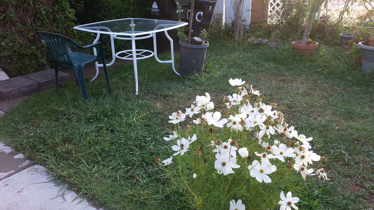 Photo of Outdoor in Mid City