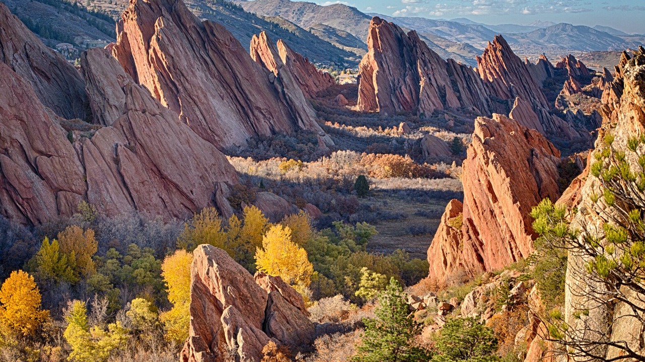Photo of Others in Roxborough