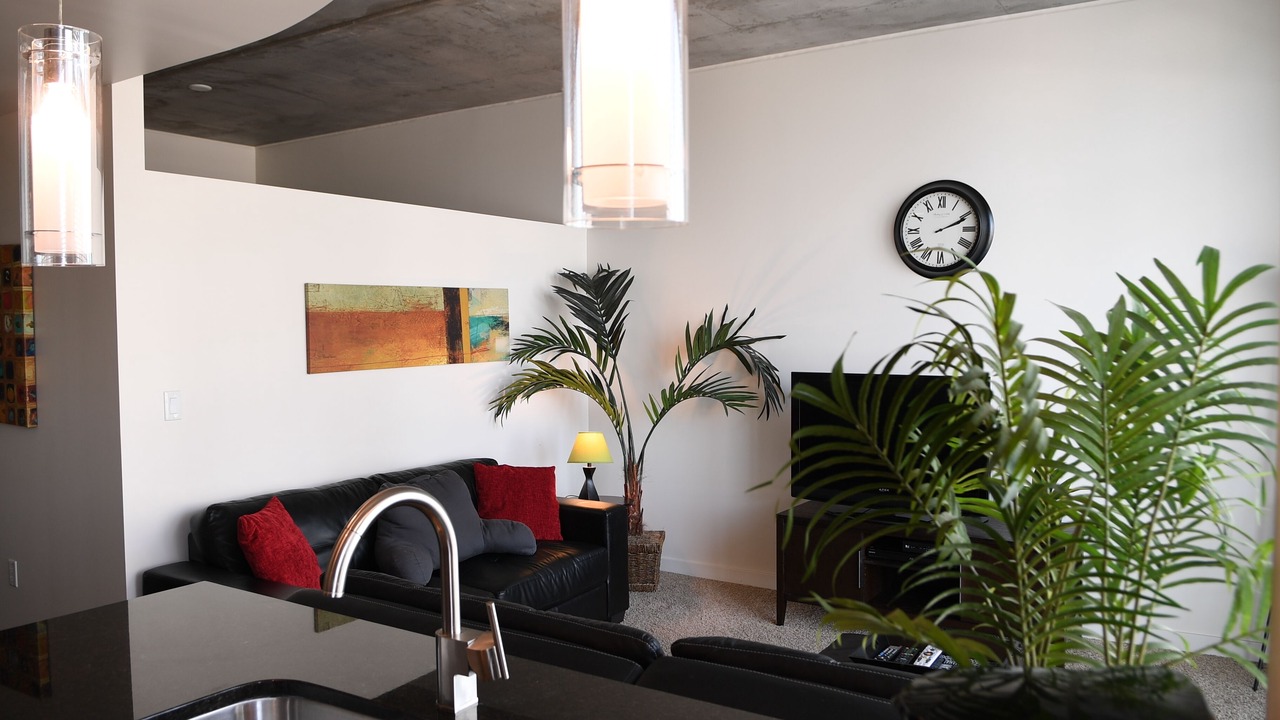 Photo of Livingroom in Downtown Denver