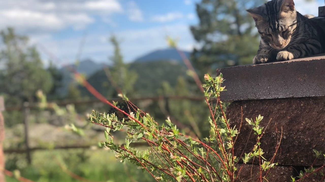 Photo of Outdoor in Boulder