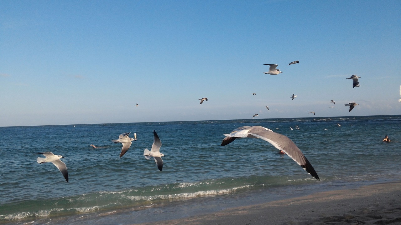 Photo of Others in North Miami