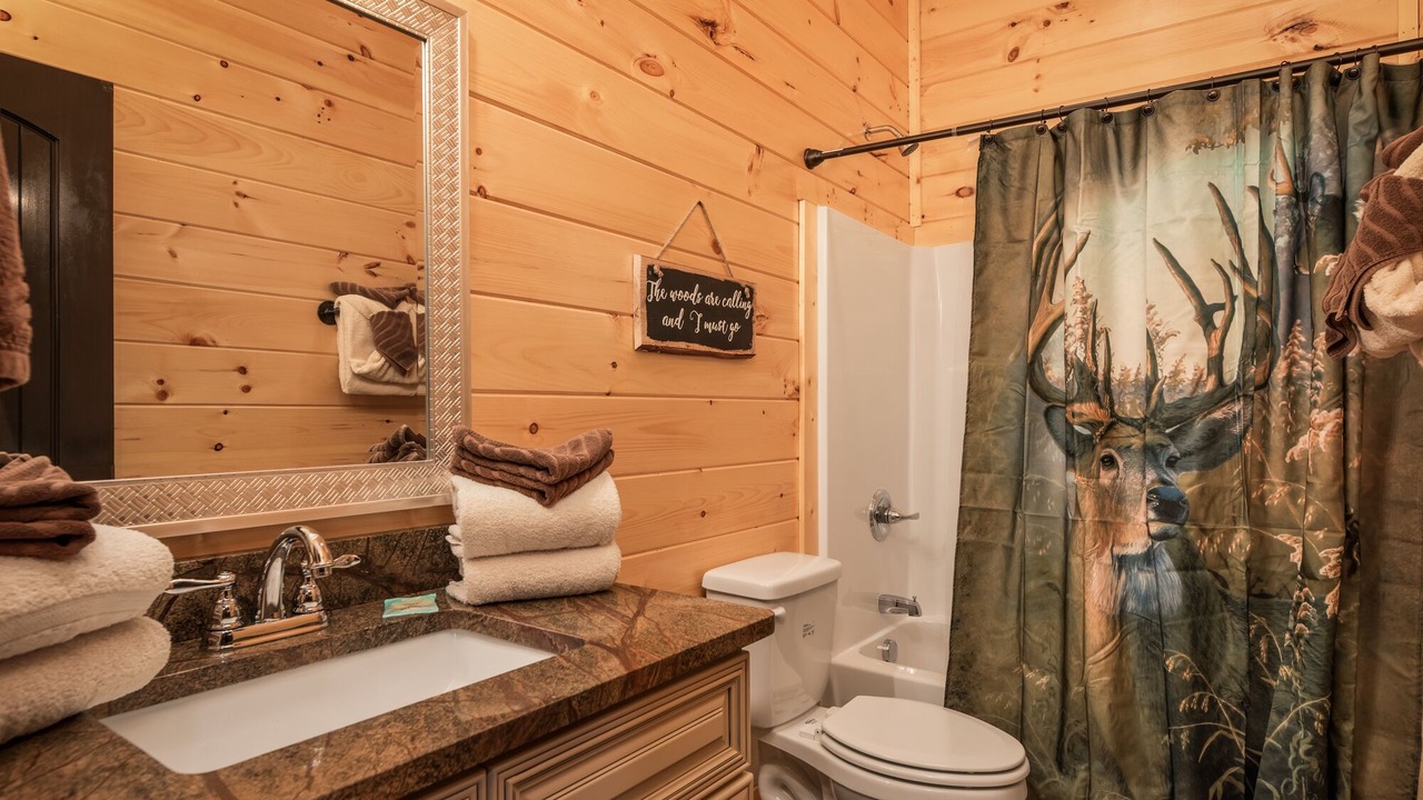 Photo of Bathroom in Gatlinburg