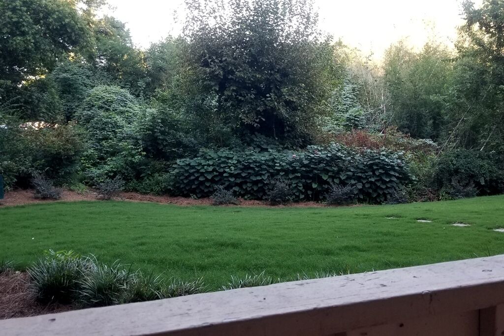 Photo of Outdoor in Athens