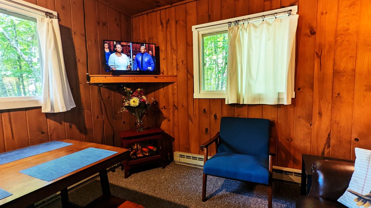 Photo of Livingroom in Phelps