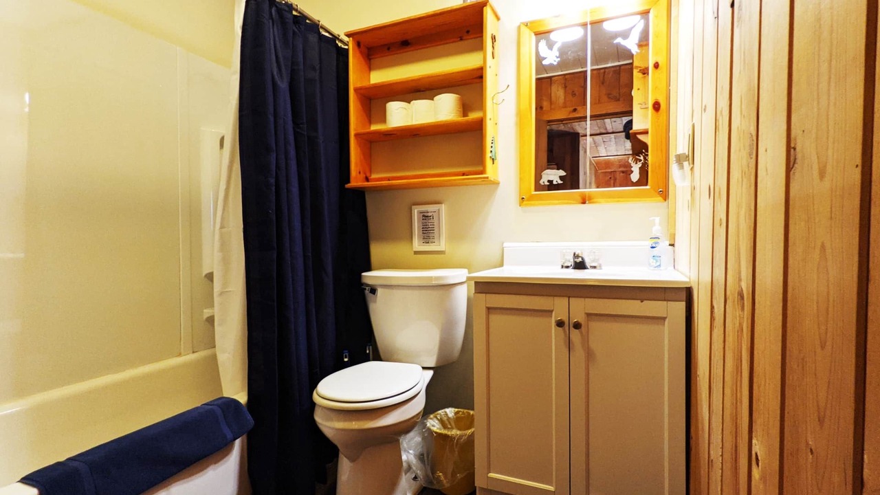 Photo of Bathroom in Phelps
