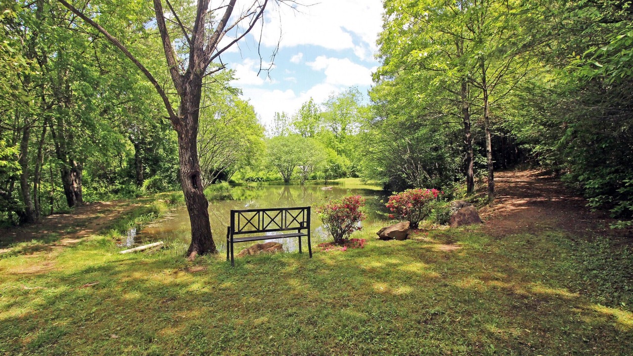 Photo of Outdoor in Copperhill