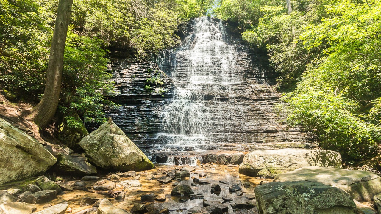 Photo of Outdoor in Copperhill