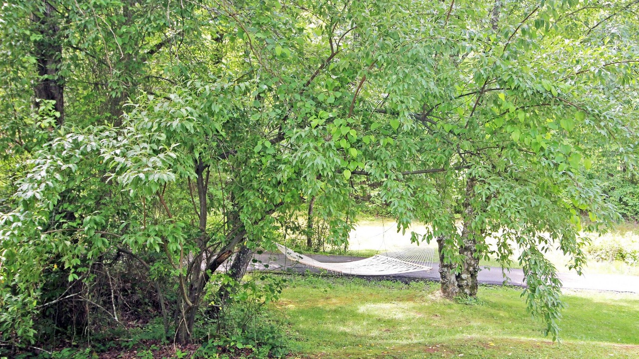 Photo of Outdoor in Copperhill