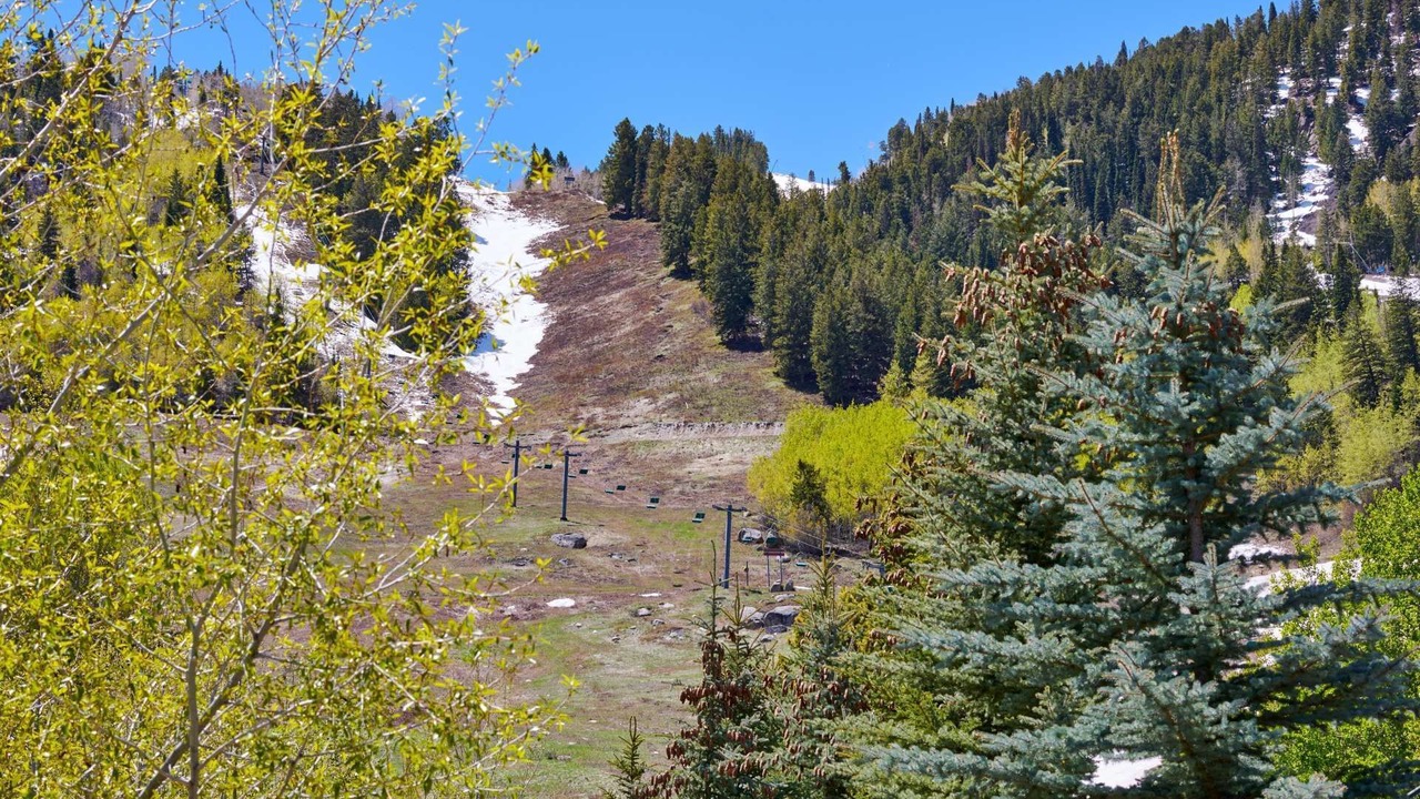 Photo of Others in Aspen