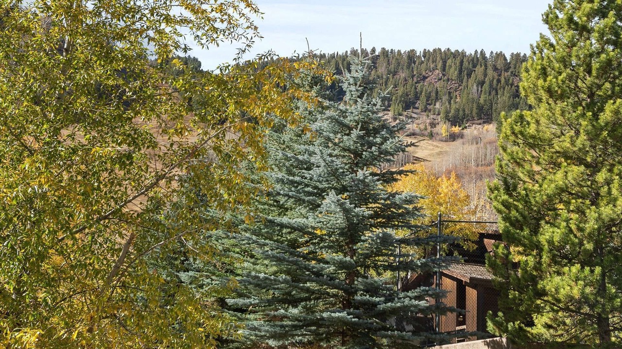 Photo of Others in Aspen