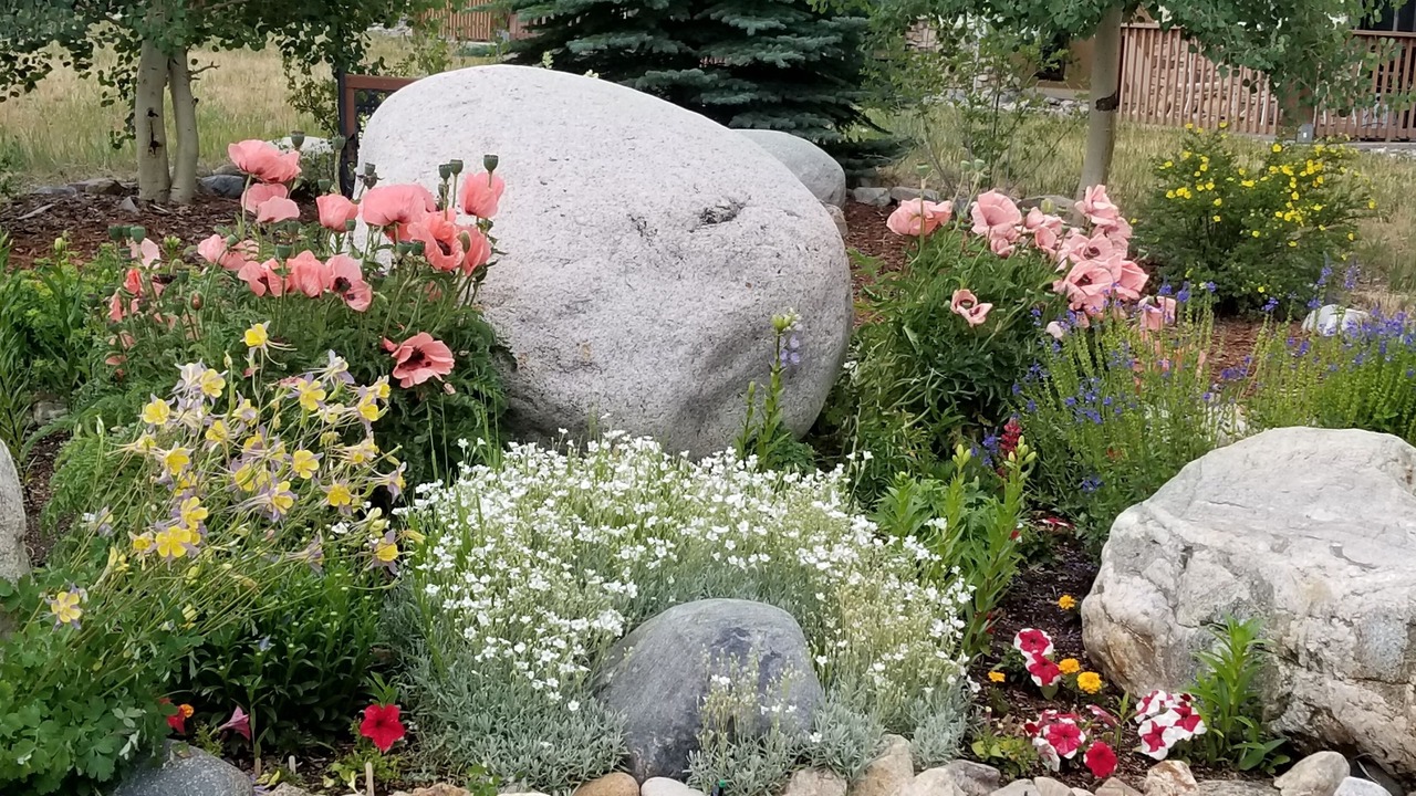 Photo of Outdoor in Summit Cove