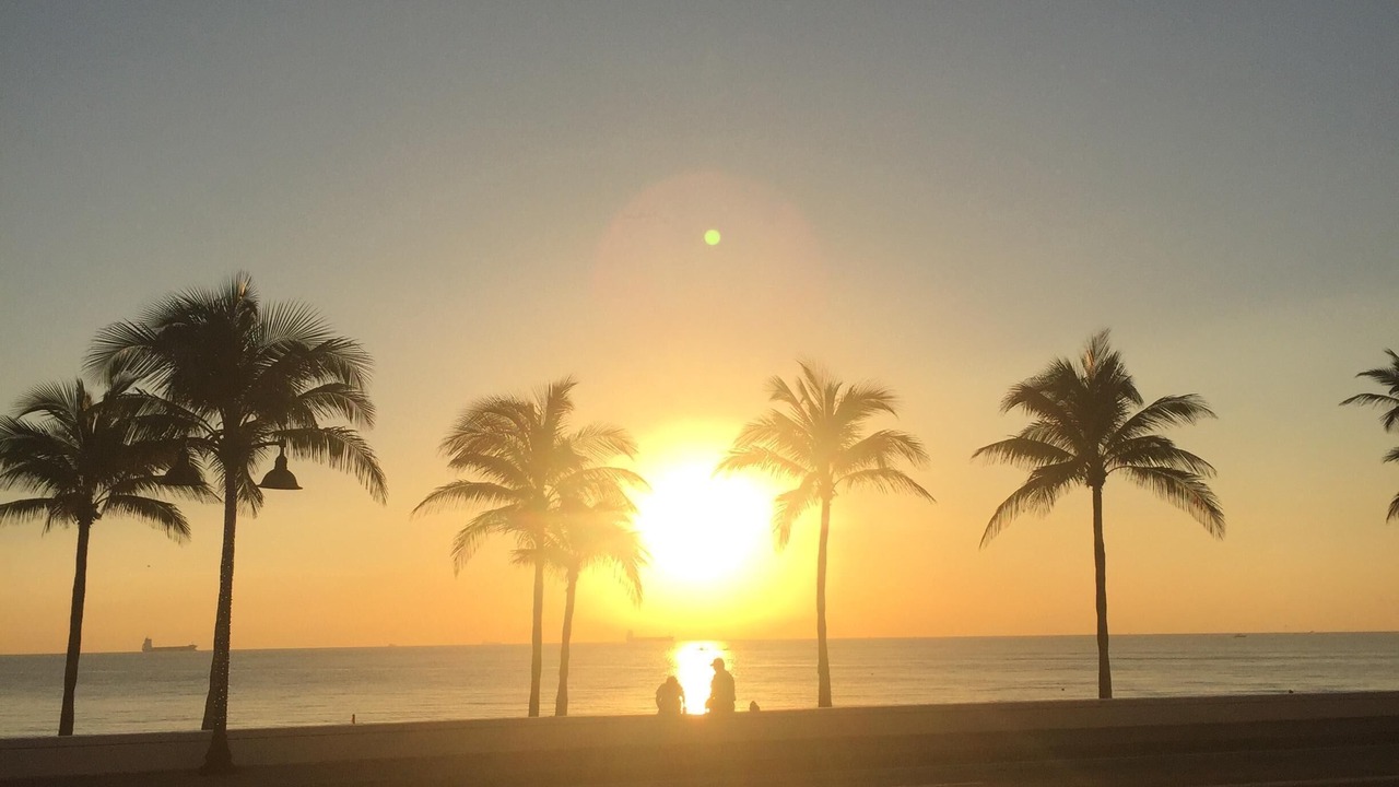 Photo of Others in East Fort Lauderdale