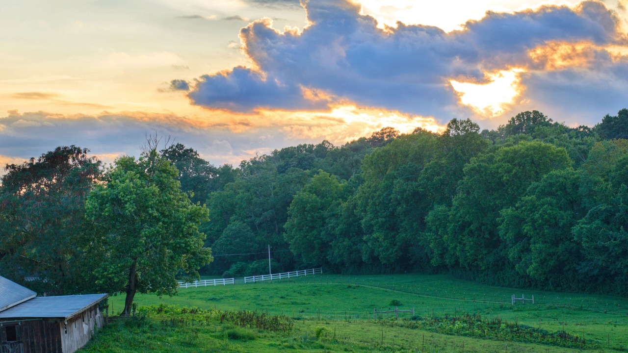 Photo of Outdoor in Knoxville