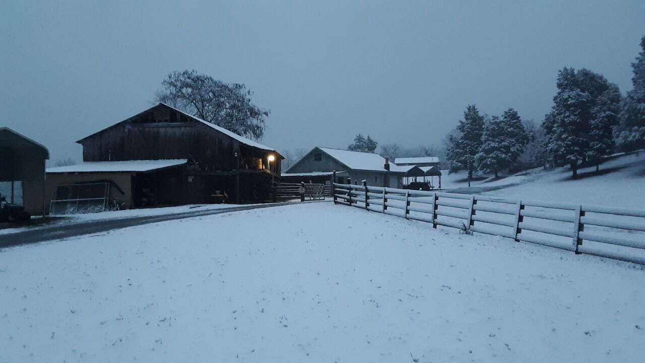 Photo of Outdoor in Knoxville