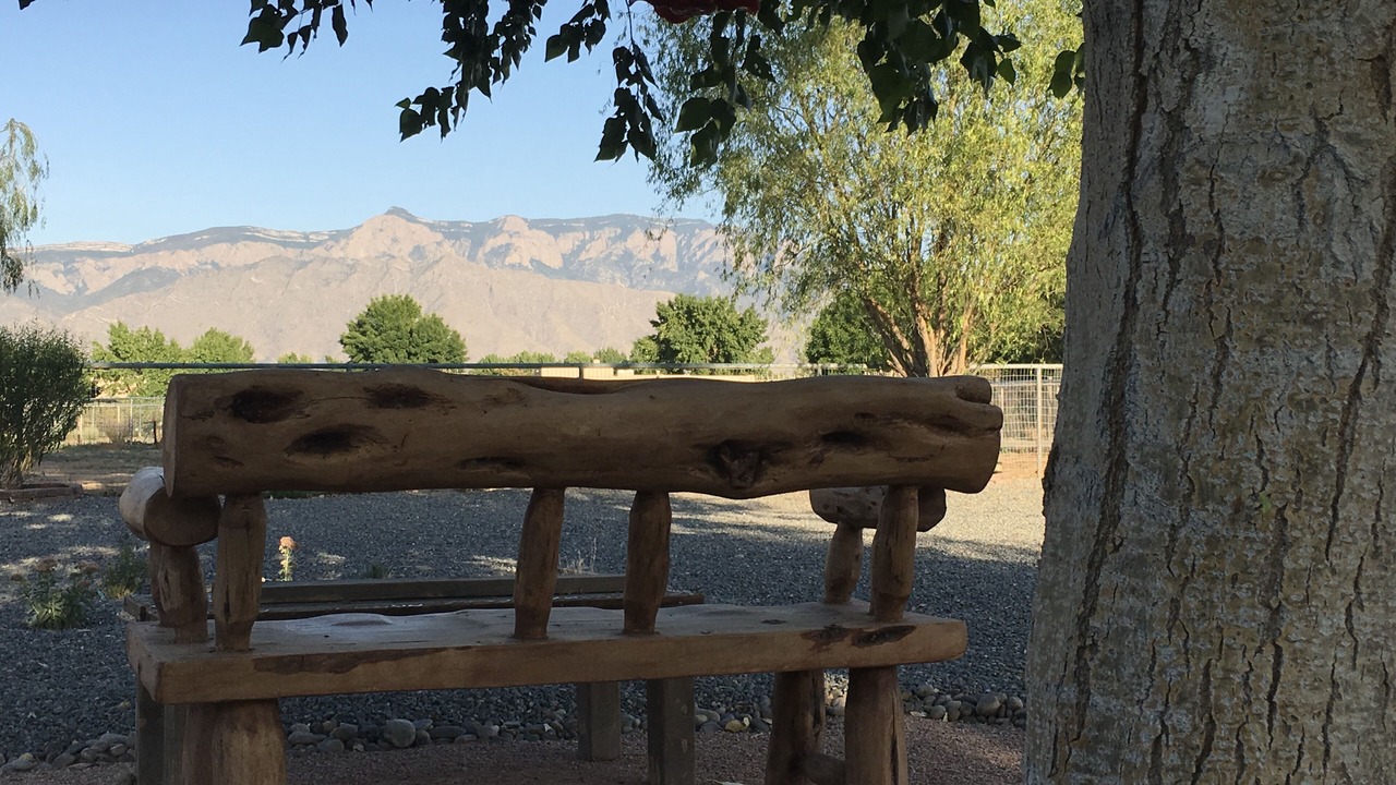 Photo of Others in Corrales