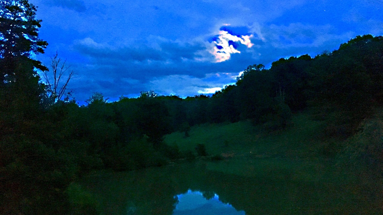 Photo of Others in Blanche Manor Ranch