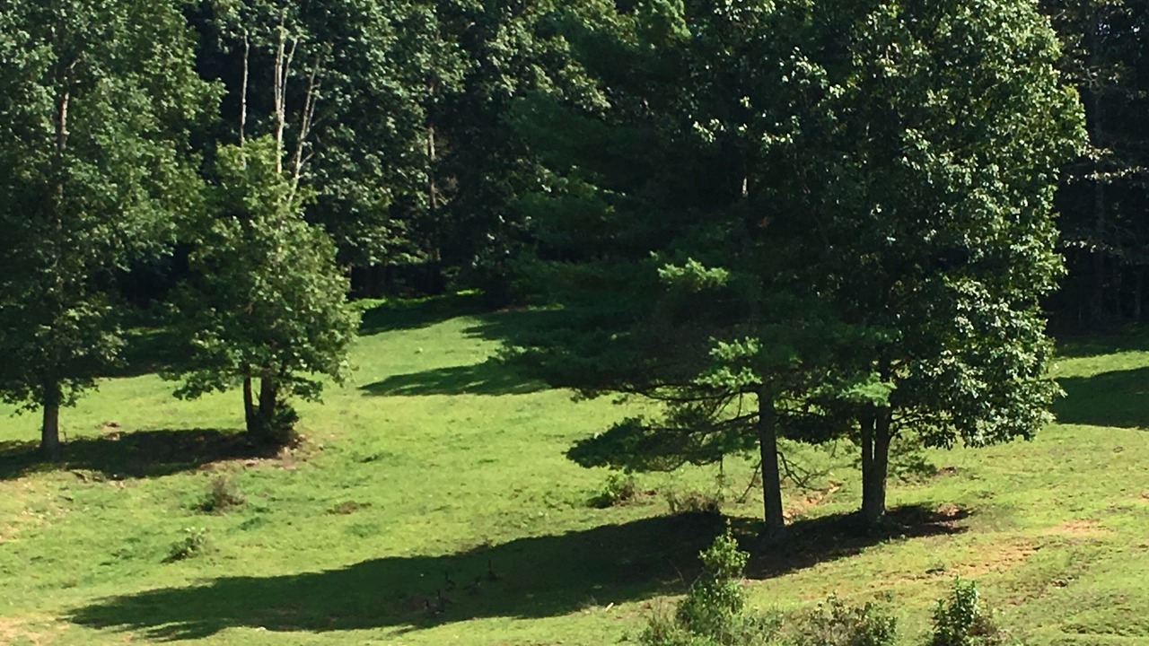 Photo of Others in Blanche Manor Ranch