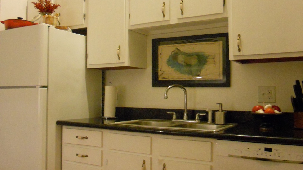 Photo of Kitchen in Arts/Warehouse District